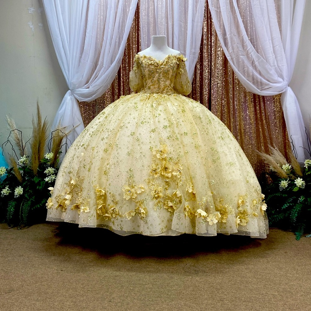 Vizcaya chámpane /gold dress
